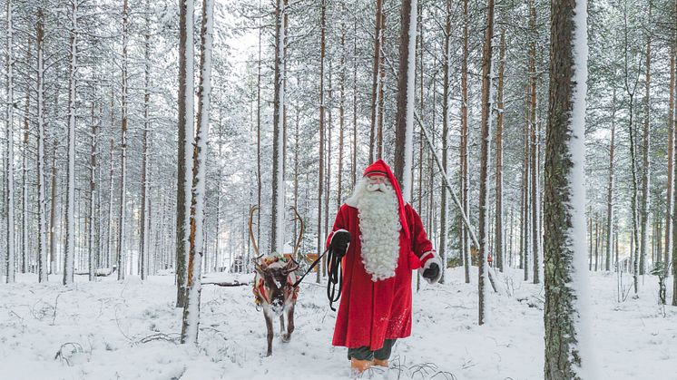 Jultomten och ren