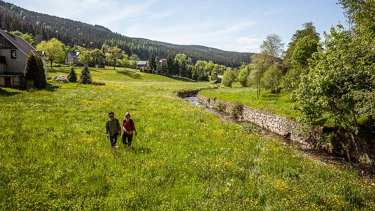 Wandern im Erzgebirge 