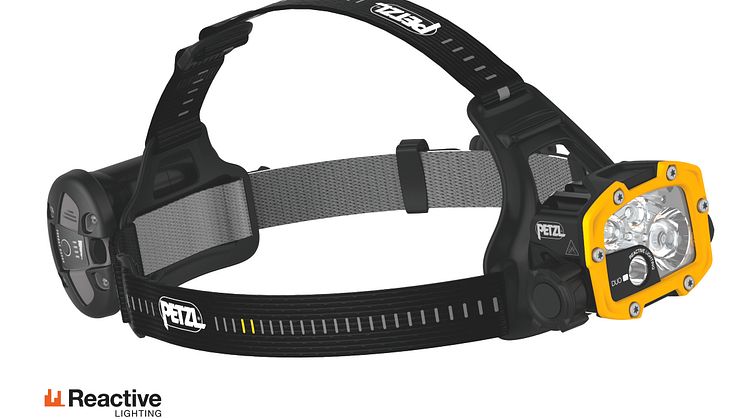 Petzl Duo RL