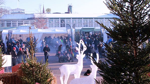 Både stämningen och vädret var på topp under lördagens hemvändarevent på Skansen.  Foto: Ann-Sofie Boman