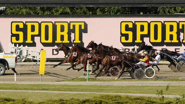 Sportbladet och Solvalla samarbete