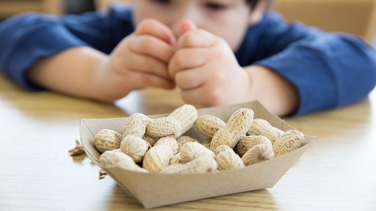 ​Blir fler barn allergiska mot mat?