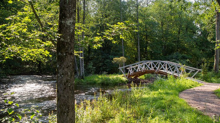 Grängshammars engelska park. Foto: Lars Dahlström