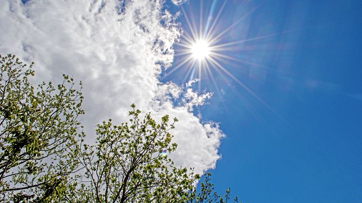 Priset för april var 11 procent högre än genomsnittspriset för april under de senaste tio åren och hela 32 procent högre än genomsnittet för de senaste fem åren.