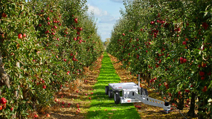 Optifruit Robotics introducerar en autonom robot som rör sig genom fruktodlingar, samlar data om varje träd och använder bildbehandling i realtid för att identifiera problem som kan påverka avkastningen, som skadeinsekter och sjukdomar.