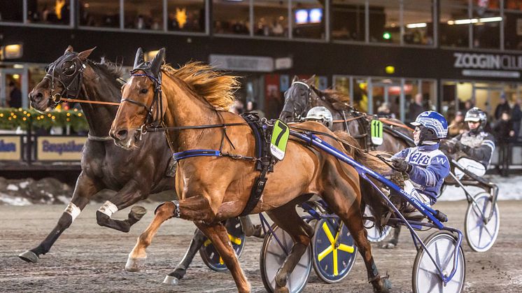 ATG: Rekordmånga miljonvinster 2019