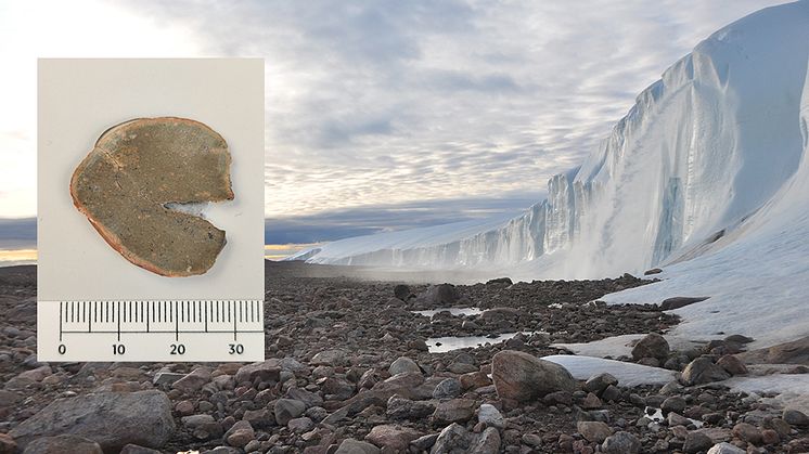 Ett spår av en ny nedslagskrater i form av en liten sten (lilla bilden) upptäcktes längs inlandsisen på Grönland. Foto William Hyde/Pierre Beck.