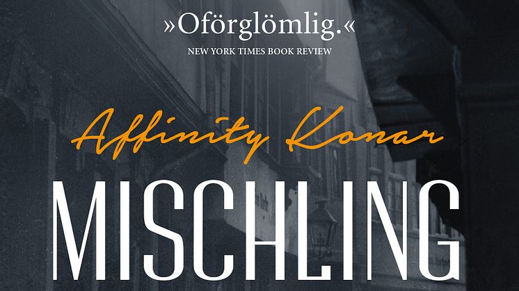 Mischling - en oförglömlig läsupplevelse