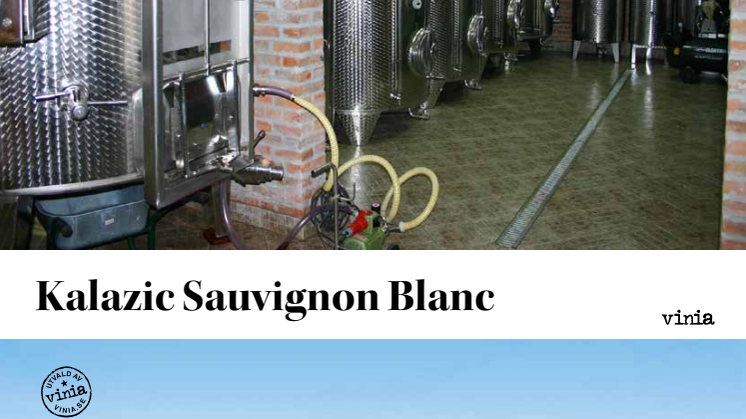 Artikel Kalazic Sauvignon Blanc - septemberlansering 2015