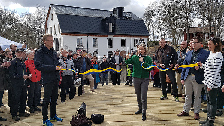 Miljöministern Karolina Skoog inviger den fisktrappa Tyréns har utformat vid Ulva Kvarn i Uppsala