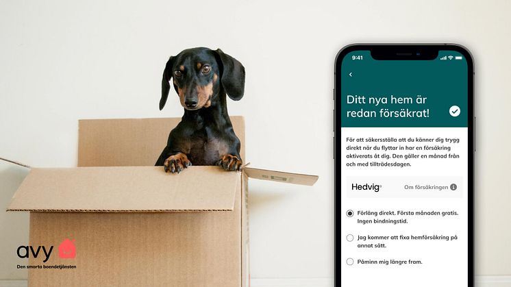 Integrerad hemförsäkring i Avys boendeapp