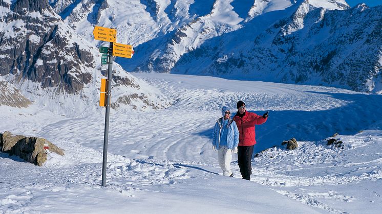 Trekking in der Aletsch Arena, Copyright Schweiz Tourismus /Christof Sonderegger