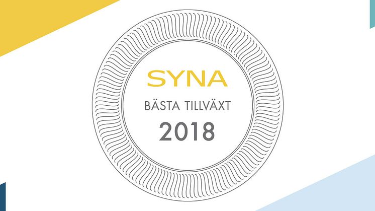 Piteå vinner pris för Bästa Tillväxt 2018 i Norrbotten. 