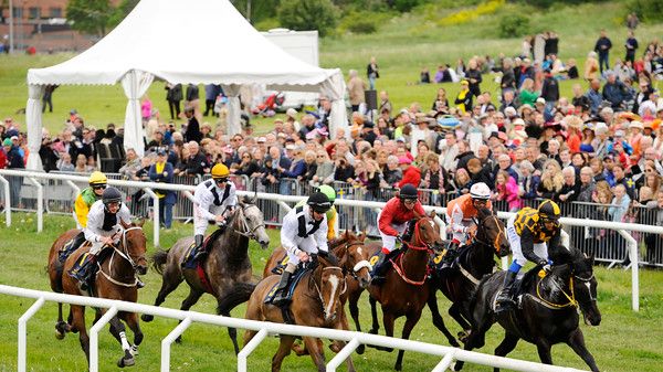  30 000 firade nationaldagen med galopp på Gärdet