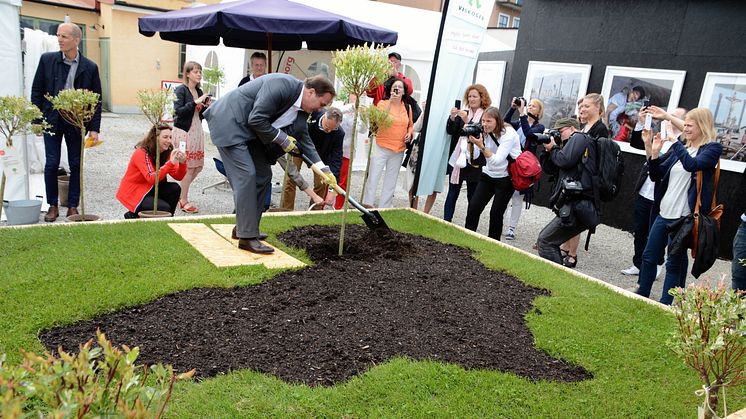 Stefan Löfven först ut med att plantera träd i Almedalen