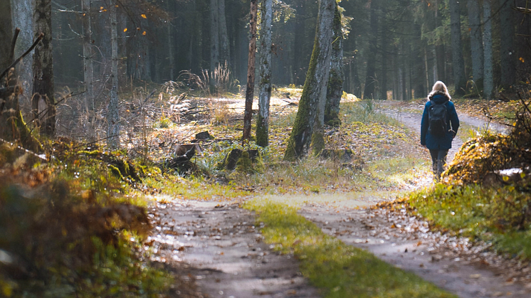 Arena Skog, ett treårigt samverkansprojekt för att stärka skogsnäringen i Västra Götaland.
