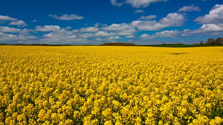 Destinationsutveckling Skåne Sydost fortsätter