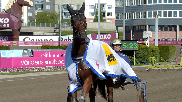 Rotate vann en STL-final under Elitloppshelgen efter att ha hittat nya ägare på Travera. Foto: TR Bild