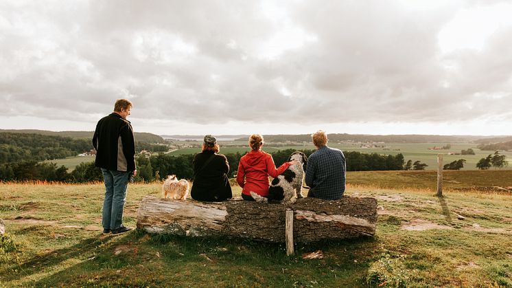 Välkommen till årets coolaste friluftscamp - en folkfest med prova-på-aktiviteter, nyheter, kurser, vandringar, utehäng och äventyr!