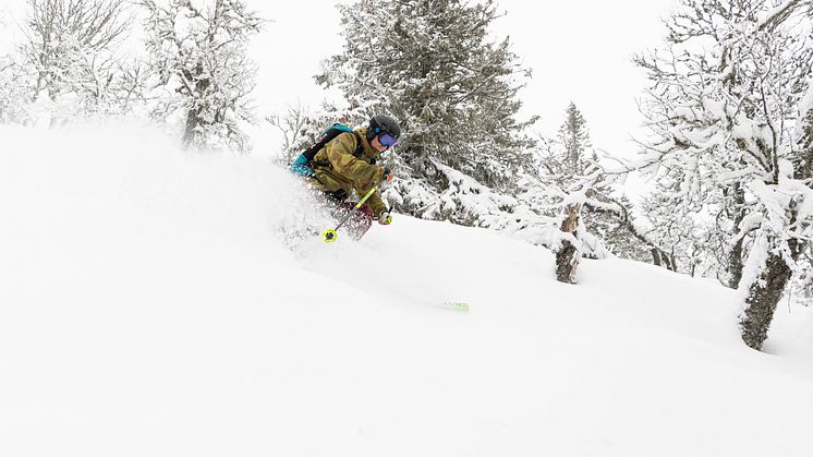 Masse snø og full vinter i Trysil og Hemsedal. Her Atle Brenneng i ferskt Trysil-pudder. Foto: Ola Matsson