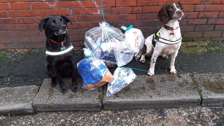 Billy and Ted’s excellent adventure – sniffing out illicit tobacco!