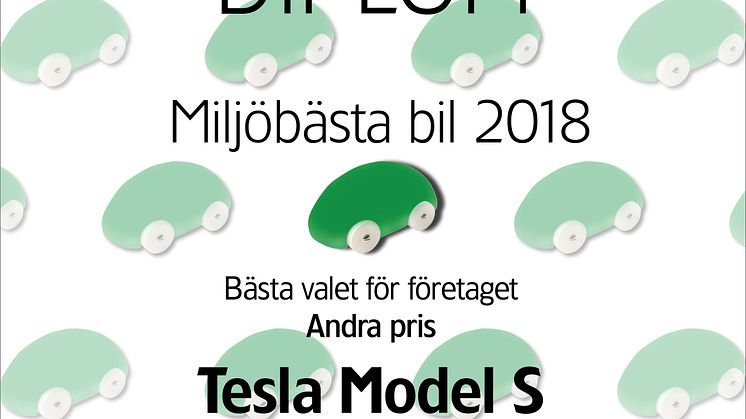 GB MBB2018 Diplom Företag 2 Tesla S