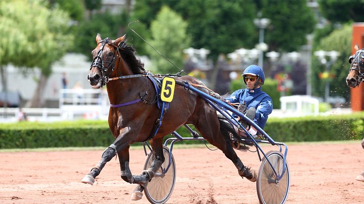 Amiral Sasha. Foto: Gerard Forni