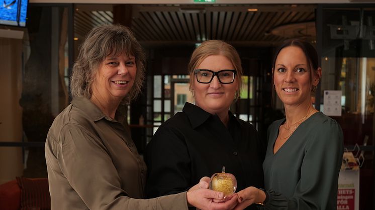 Årets Guldäpplepristagare fr v: Ulrica Elisson Grane, Leksand, Karolin Wagner och Helen Larsson, Jönköping.  Foto: Bo Helmersson.