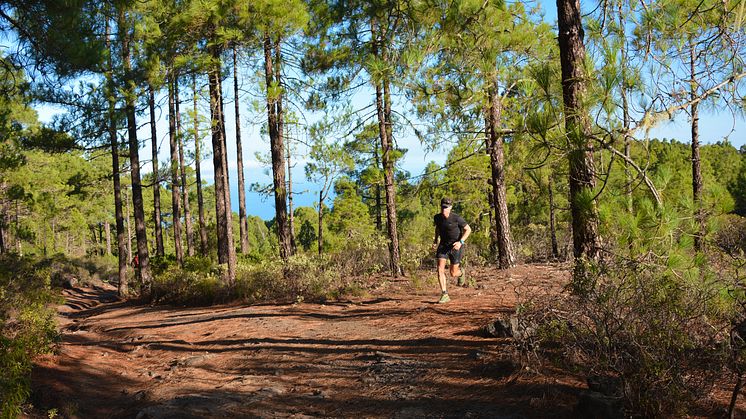 Den varierande terrängen gör Kanarieöarna till en perfekt plats för löpning och orientering.