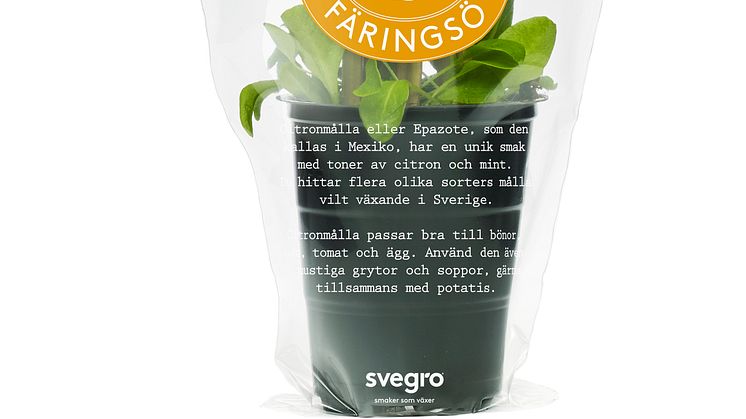 Svegro Vilda Smaker - ekologisk citronmålla