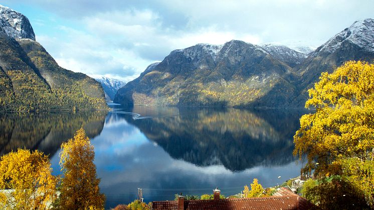 Aurlandsfjord