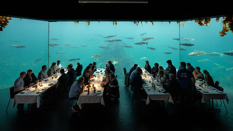 Welcome dinner hosted by the Norwegian Frozen at Sea at the Atlanterhavsparken Aquarium in Ålesund.jpg