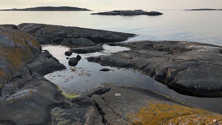 Västerhavet, klippor i skymningen