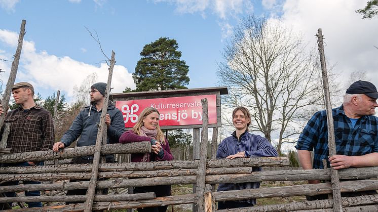 Kulturreservatet Stensjö by