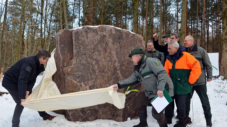Enthüllung des 10,2 Tonnen schweren Porphyr-Gedenksteins zum "Waldgebiet des Jahres 2018" im Wermsdorfer Wald