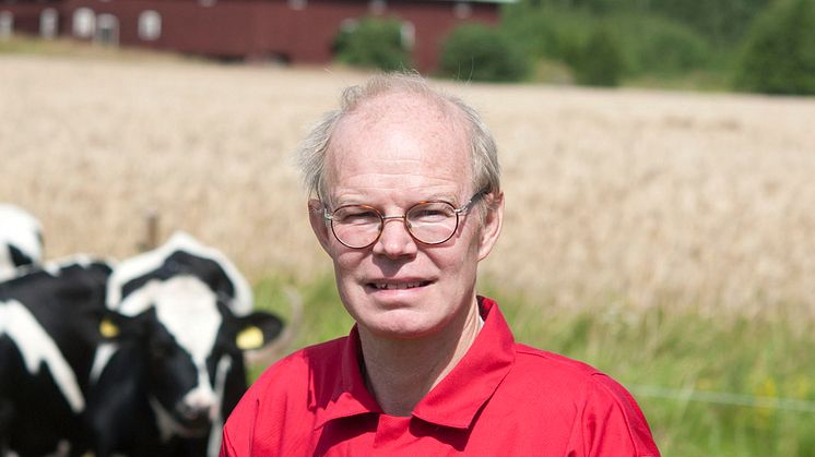 Per Frankelius, forskare vid Linköpings universitet, ifrågasätter i en vetenskaplig artikel om lantbruket verkligen är en stor klimatbov.