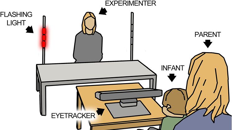 Illustration of the experiment designed to assess initiation of joint attention in infancy.  Illustration: Pär Nyström