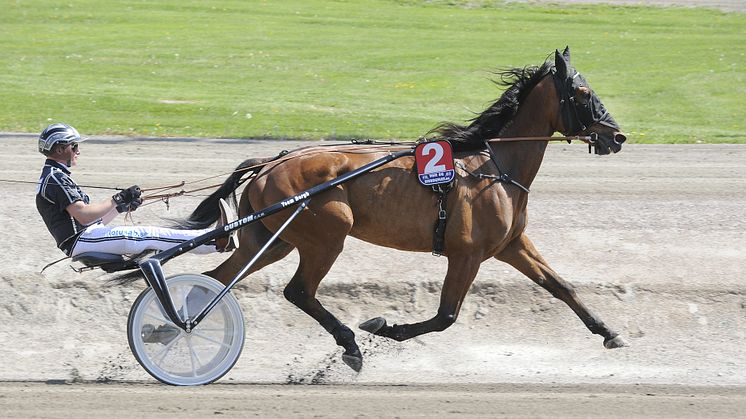 Lördag: V75 med Jackpot och Sundsvall Open Trot