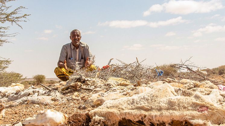 Många människors liv i Bari-regionen i Puntland State har påverkats av den förödande torkan i Somalia och Afrikas horn.