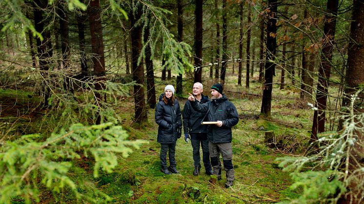 Södras 53.000 skovfamilier dyrker ansvarlig skovdrift, der både sikrer en fornuftig forretning og giver et rigt dyre- og planteliv. Sådan har det altid været, for det er det eneste der giver mening i et selvforsynende kredsløb som Södras. 