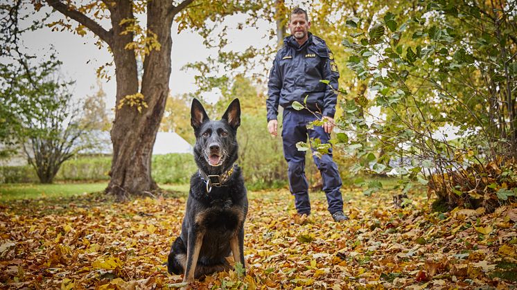 Årets Polishund 2023 Krogstorps Sky med förare Magnus Stenlilja. Foto: Jan-Erik Lindkvist