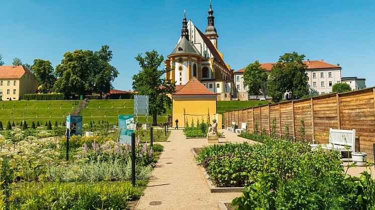 Ein einmaliges Zeugnis der Gartenbaukunst wurde in Neuzelle wiederbelebt. Die Klostergärten zählen zu den bedeutendsten Gartenanlagen in Deutschland. Foto: TMB-Fotoarchiv/Steffen Lehmann.