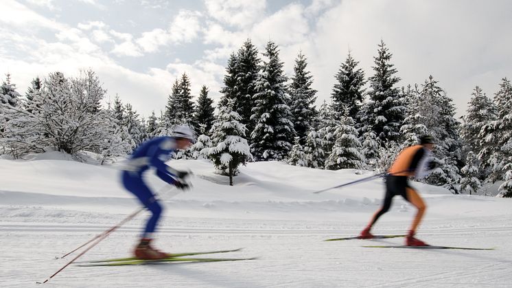 Högbo Brukshotell sponsrar lokala längdskidåkningstalanger