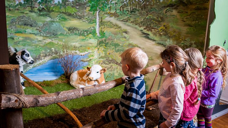 In der Sonderausstellung erfahren Groß und Klein, wie die Germanen gelebt und gewohnt haben (Foto: Berd Baldauf)