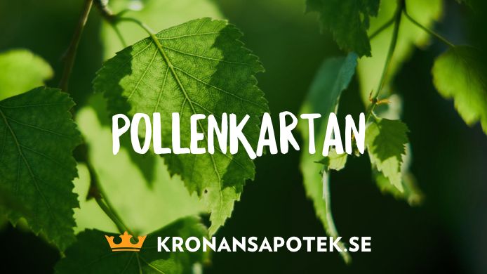 Björkpollen på antågande – så lindrar du pollenplågan. 