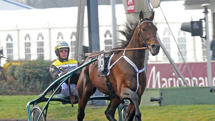 Maharajah i Olympiatravets tredje deltävling på Mantorp