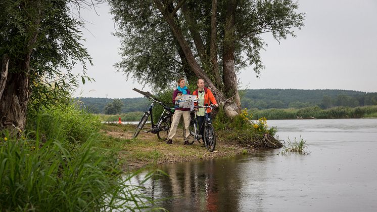 Ideal für Radtouren ist das Oderbruch im Seenland Oder-Spree. Foto: TMB-Fotoarchiv/Yorck Maecke.