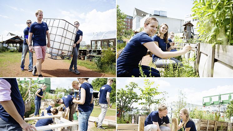 Die Mitarbeiter von Pernod Ricard Deutschland haben am Responsib’All Day im Gemeinschaftsgarten des Vereins NeuLand e.V. kräftig mit angepackt. 