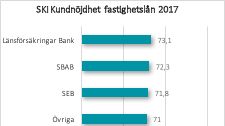 SKI kundnöjdhet fastighetslån 2017