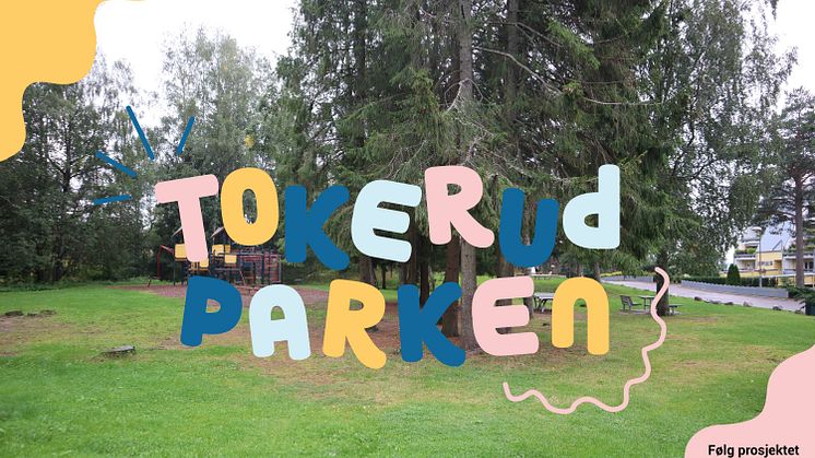 Hva er mulig i Tokerudparken/Langgårdfeltet? 